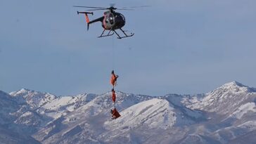 Envueltos en tela roja, los animales estaban colgados de una cuerda atada a un helicóptero que los trasladaba a una zona para realizarles evaluaciones sanitarias.