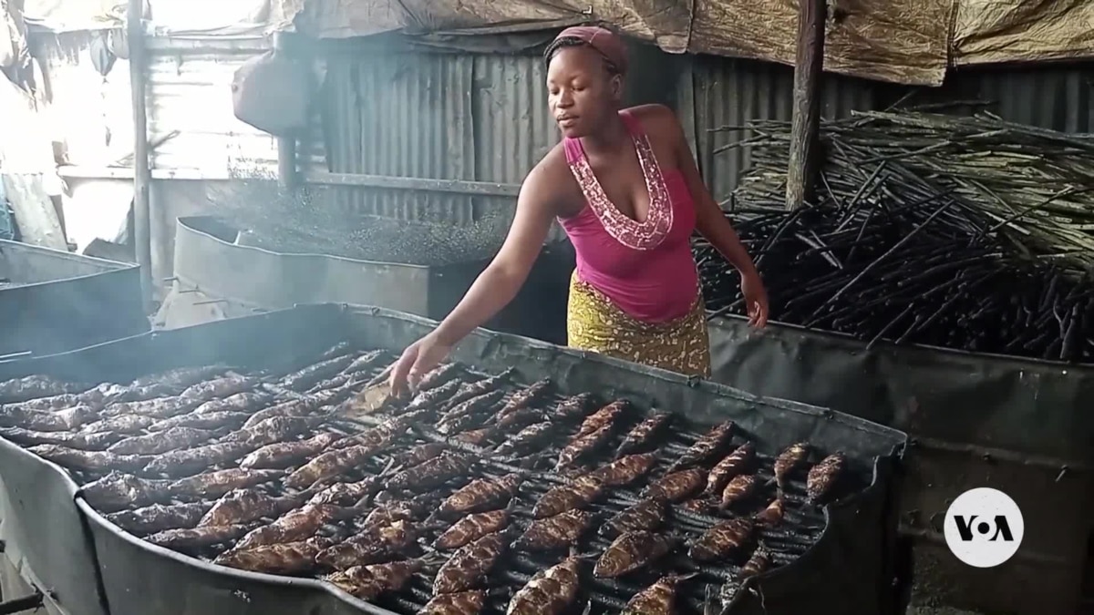 El ahumado tradicional del pescado en la República del Congo amenaza los bosques
