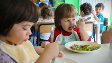 El consejo ciudadano alemán apoya almuerzos gratuitos para todos los escolares