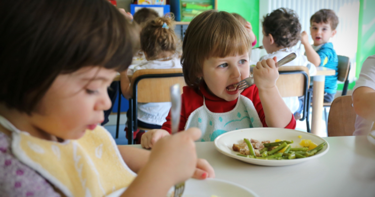El consejo ciudadano alemán apoya almuerzos gratuitos para todos los escolares