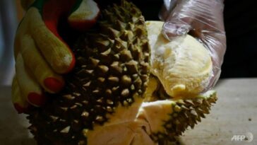 El mercado de durián de China madura mientras Tailandia pierde terreno, Vietnam y Filipinas lo prueban