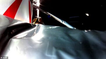 Selfie espacial: se suponía que el módulo de aterrizaje Peregrine serviría como explorador para los astronautas de Artemis.  Esta imagen publicada por Astrobotic el 8 de enero de 2024 muestra la primera imagen del módulo de aterrizaje en el espacio con aislamiento en primer plano.
