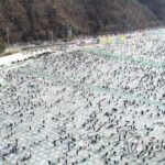World-famous ice fishing festival to kick off in Hwacheon on Saturday