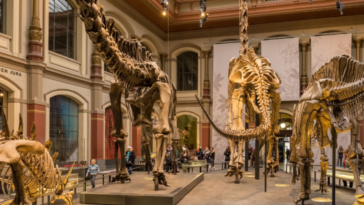 El programa de visitas gratuitas a los museos de Berlín continuará hasta 2025