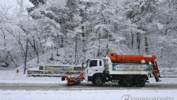 Heavy snowfall disrupts Winter Youth Olympics in eastern S. Korea