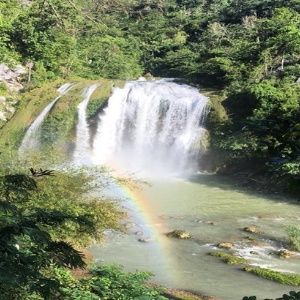 Haití: Ambientalistas cuestionan proyectos ambientales paralizantes
