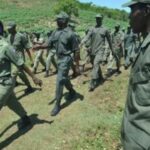 Haití: el gobierno investiga a los guardias forestales armados