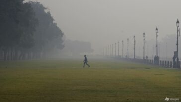 La contaminación del aire y la política plantean desafíos transfronterizos en el sur de Asia