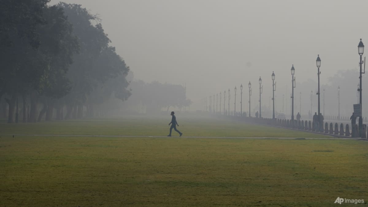 La contaminación del aire y la política plantean desafíos transfronterizos en el sur de Asia
