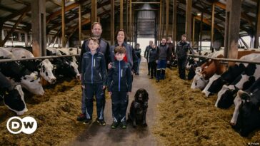 Los agricultores alemanes rellenan formularios en lugar de ordeñar a sus vacas