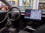 Los piratas informáticos de Tesla descubren un 'Modo Elon' secreto que permite la conducción TOTALMENTE automatizada y dicen que los usuarios pueden acceder a él con un equipo de £ 520
