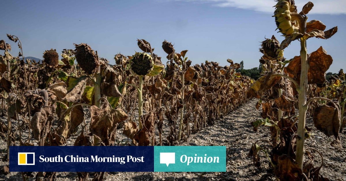  Opinión |  2023 fue el año más caluroso en 125.000 años.  Pero no será el último
