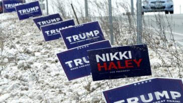 Primarias de New Hampshire: qué esperar de Trump, Haley y DeSantis