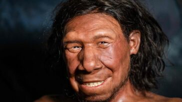 ¿Tienes rasgos neandertales?  (Getty)