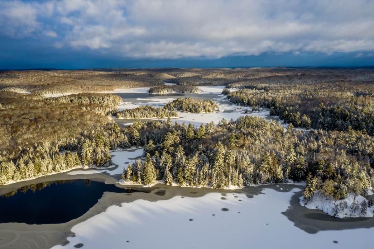 Tres provincias canadienses emiten invitaciones en los primeros resultados del PNP de 2024
