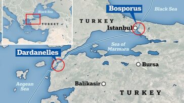 Los estrechos del Bósforo y los Dardanelos se encuentran en territorio turco y son la única forma de llegar al Mar Negro a través de vías fluviales, lo que los hace sumamente valiosos.