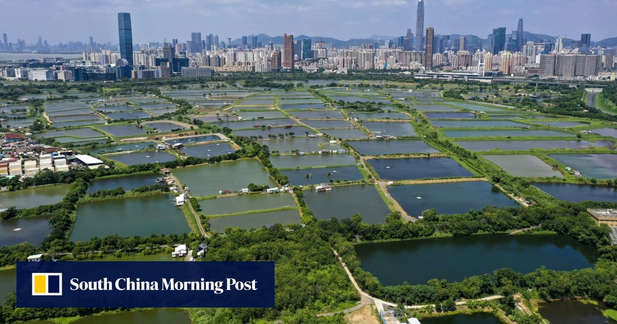 El desarrollo de alta tecnología en Hong Kong en la frontera podría afectar la ecología del área, dice un experto
