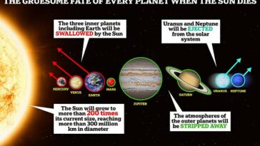 Este gráfico revela el espantoso destino de todos los planetas del sistema solar cuando el Sol muere y se transforma en una enorme estrella enana roja.