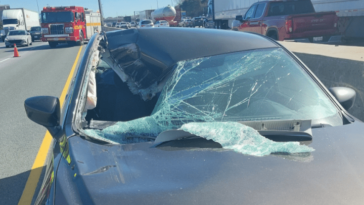 Conductor acusado después de que una rueda se desprende y rompe el parabrisas de otro automóvil en la autopista.  401-Toronto