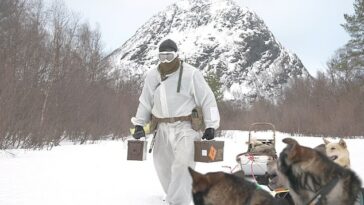 Comandos de élite británicos prueban el uso de perros para suministrar munición y comida a las tropas en el Círculo Polar Ártico