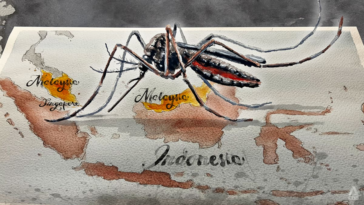 ENFOQUE: ¿Está perdiendo el Sudeste Asiático la batalla contra el dengue?