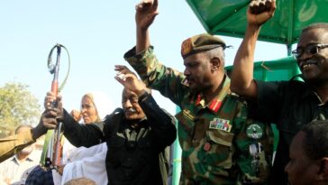 Sudan has been gripped by nearly 11 months of war between its army and the Rapid Support Forces.  (Ebrahim Hamid/AFP)