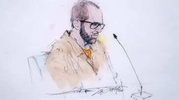 Alexander Smirnoff nunca ha sido fotografiado públicamente sin el rostro cubierto.  El boceto de un artista de la corte muestra su cabello corto entrecano, su espesa barba y sus gafas.
