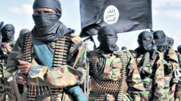 Estados Unidos sanciona a 16 financiadores de militantes de Al-Shabaab |  El guardián Nigeria Noticias