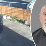 Inquietantes imágenes de CCTV muestran a un hombre estadounidense disparando al perro de su vecino