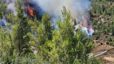Fire in the Jerusalem Hills credit: Ariel Kedem Israel Parks and Nature Authority