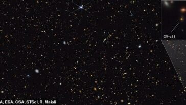 Esta imagen es de la NIRCam (cámara de infrarrojo cercano) del telescopio espacial James Webb.  Muestra una parte del campo de galaxias GOODS-North.  En la parte inferior derecha, una imagen desplegable resalta la galaxia GN-z11, que se ve justo 430 millones de años después del Big Bang.