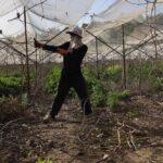 La difícil situación de los trabajadores migrantes asesinados y tomados como rehenes en Medio Oriente expone la dependencia de Israel de la fuerza laboral extranjera