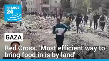 La forma más eficaz de llevar alimentos a Gaza es "por tierra", dice un funcionario de la Cruz Roja