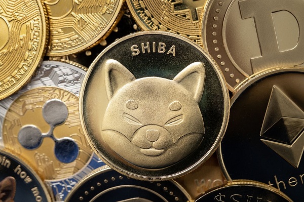  La quema de tokens SHIB no logra inspirar un movimiento importante de precios;  ¿GFOX está robando el protagonismo de SHIB?
