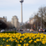Marzo de 2024: 10 cambios que afectan a los expatriados en Alemania