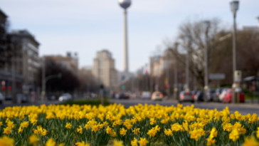 Marzo de 2024: 10 cambios que afectan a los expatriados en Alemania
