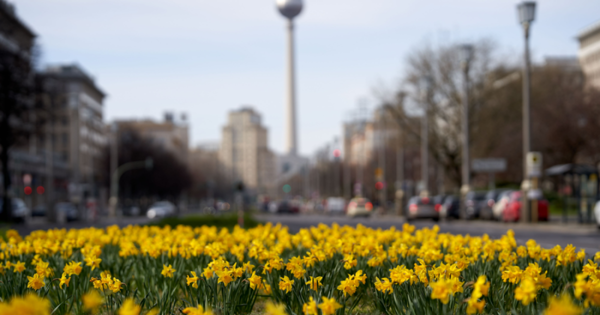 Marzo de 2024: 10 cambios que afectan a los expatriados en Alemania
