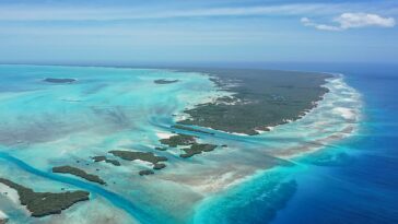 Los arrecifes remotos de las Seychelles (en la foto) son algunos de los ecosistemas más bellos pero frágiles del mundo.