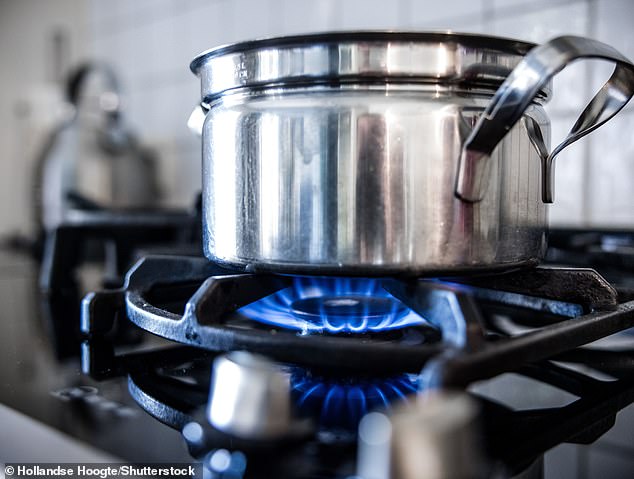 Se reavivó la guerra contra las estufas de gas: cocinar queso asado es MÁS tóxico que respirar los gases de escape de los automóviles, afirma un estudio
