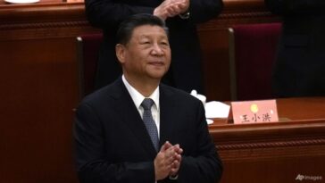"Se trata de Xi": un arma de doble filo para China mientras el presidente Xi Jinping vuelve a escribir las reglas, dicen los analistas