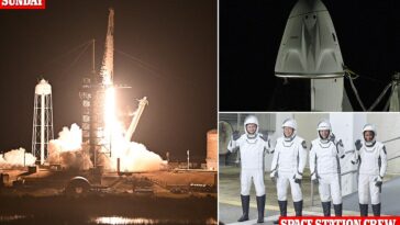 Un cohete SpaceX puso en órbita con éxito a tres astronautas estadounidenses y a un cosmonauta ruso después de que las preocupaciones sobre una grieta en una escotilla lateral casi arruinaran el despegue.  Antes del lanzamiento del cohete, la misión SpaceX Crew-8 de la NASA encontró un problema con una grieta en la escotilla lateral.