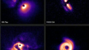 Desde espirales en forma de alas hasta espirales dentadas, nuevas imágenes muestran la increíble variedad de discos de formación de planetas que rodean a las estrellas.