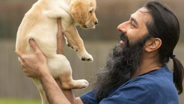 Hasta 1,2 millones de perros en el Reino Unido temen a las personas con barba y bigote, según revelan las cifras