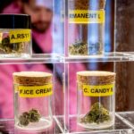 ¿Qué empresas se beneficiarán de la legalización del cannabis?