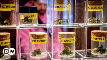 ¿Qué empresas se beneficiarán de la legalización del cannabis?
