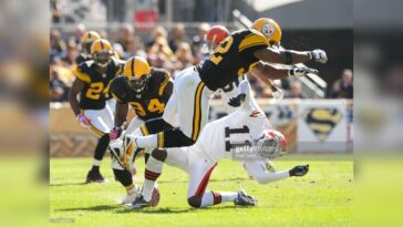 James Harrison Mohamed Massaquoi illegal hits Pittsburgh Steelers