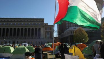 Brecha generacional: lo que dicen las protestas estudiantiles sobre la política estadounidense y el apoyo de Israel