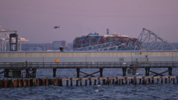 Colapso catastrófico de puente en Baltimore: buque portacontenedores provoca desastre |  La crónica de Michigan