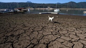 Conagua cancela extracción de presa Valle de Bravo por nivel crítico de almacenamiento