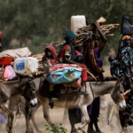Consejo de Seguridad de la ONU preocupado por asesinatos por motivos étnicos en el norte de Darfur en Sudán